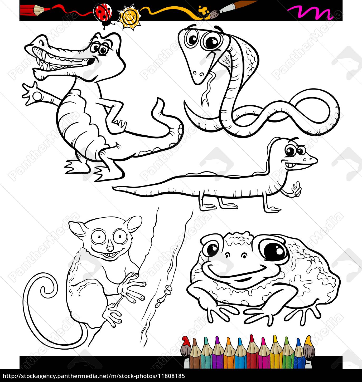 Download Animals Set Cartoon Coloring Book Stock Photo 11808185 Panthermedia Stock Agency