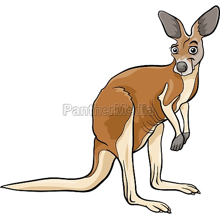 kangaroo animal cartoon illustration - Stock Photo #11850257 | PantherMedia  Stock Agency