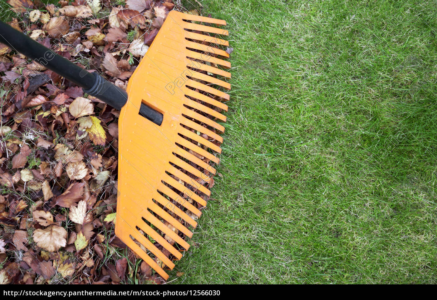 rake-and-leaves-stock-image-12566030-panthermedia-stock-agency