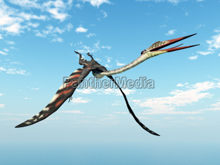 dino dan quetzalcoatlus