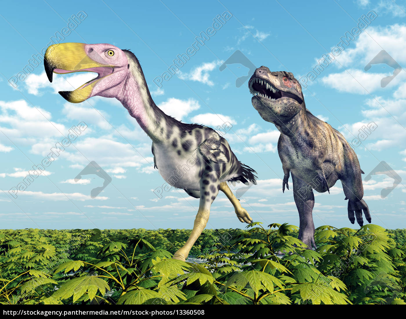 T rex Stock Photos, Royalty Free T rex Images