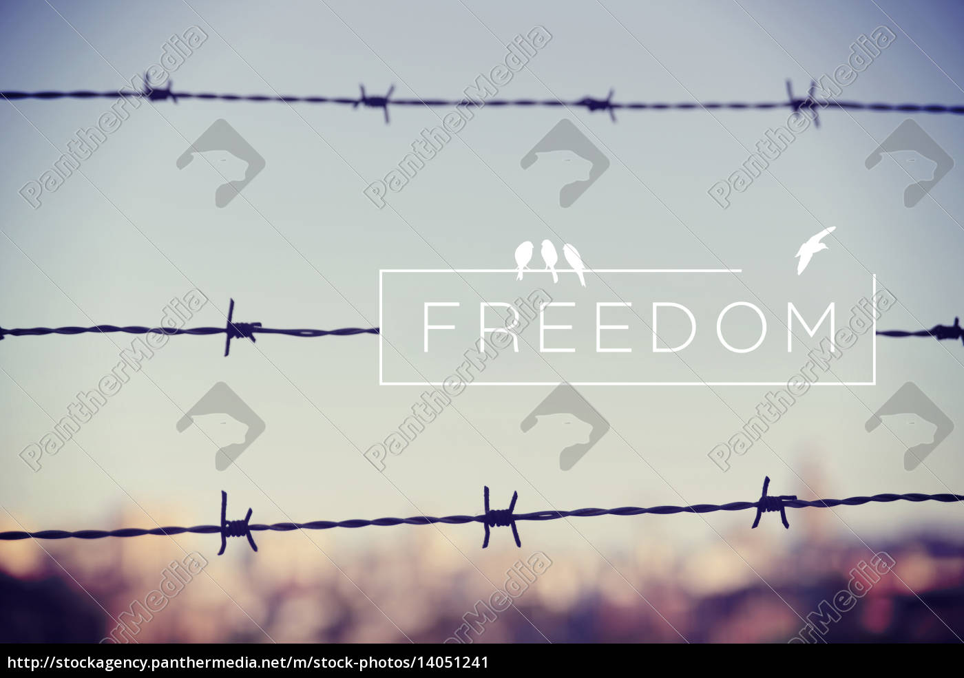 barbed wire quotes