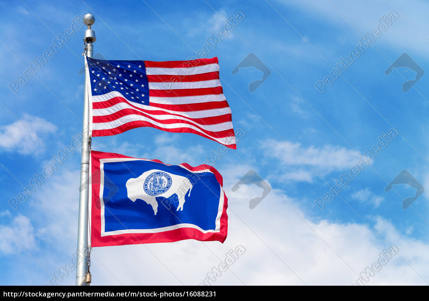STATE BUNTING 9 metres 30 flags Polyester flag WYOMING U.S
