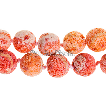 Sponge hot sale coral beads