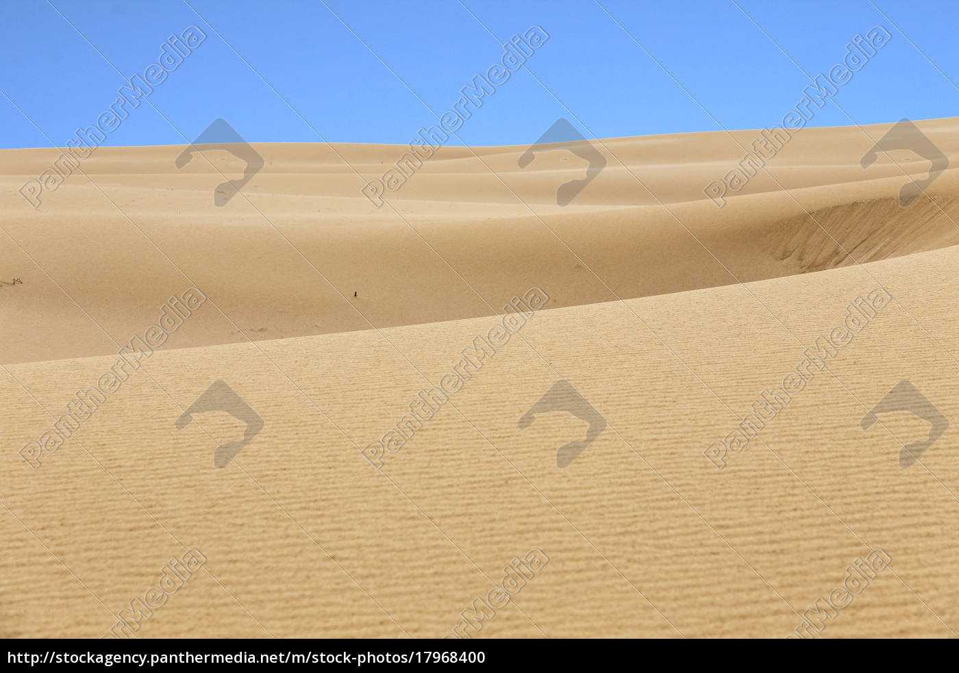 Desert Sand Pattern Texture Background From The Sand Royalty Free Photo Panthermedia Stock Agency