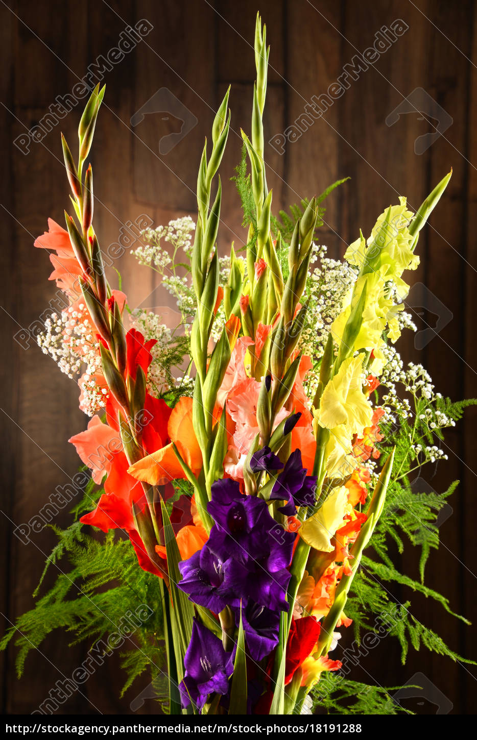 Gladiolus Flower In Hindi Best Flower Wallpaper