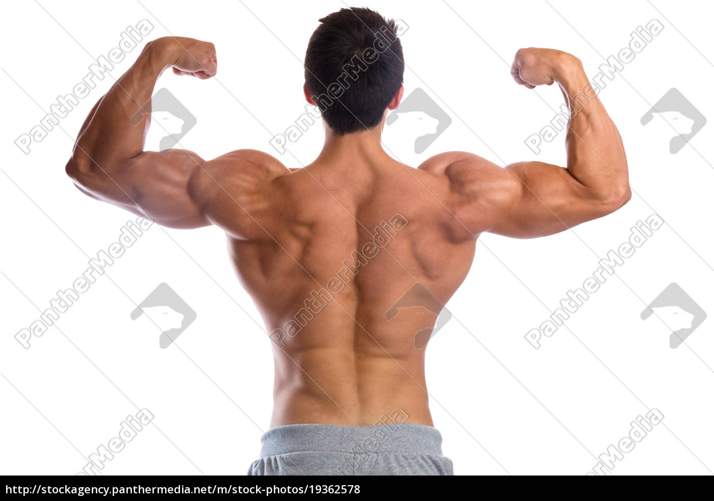 bodybuilder bodybuilding muscles body building back - Stock image
