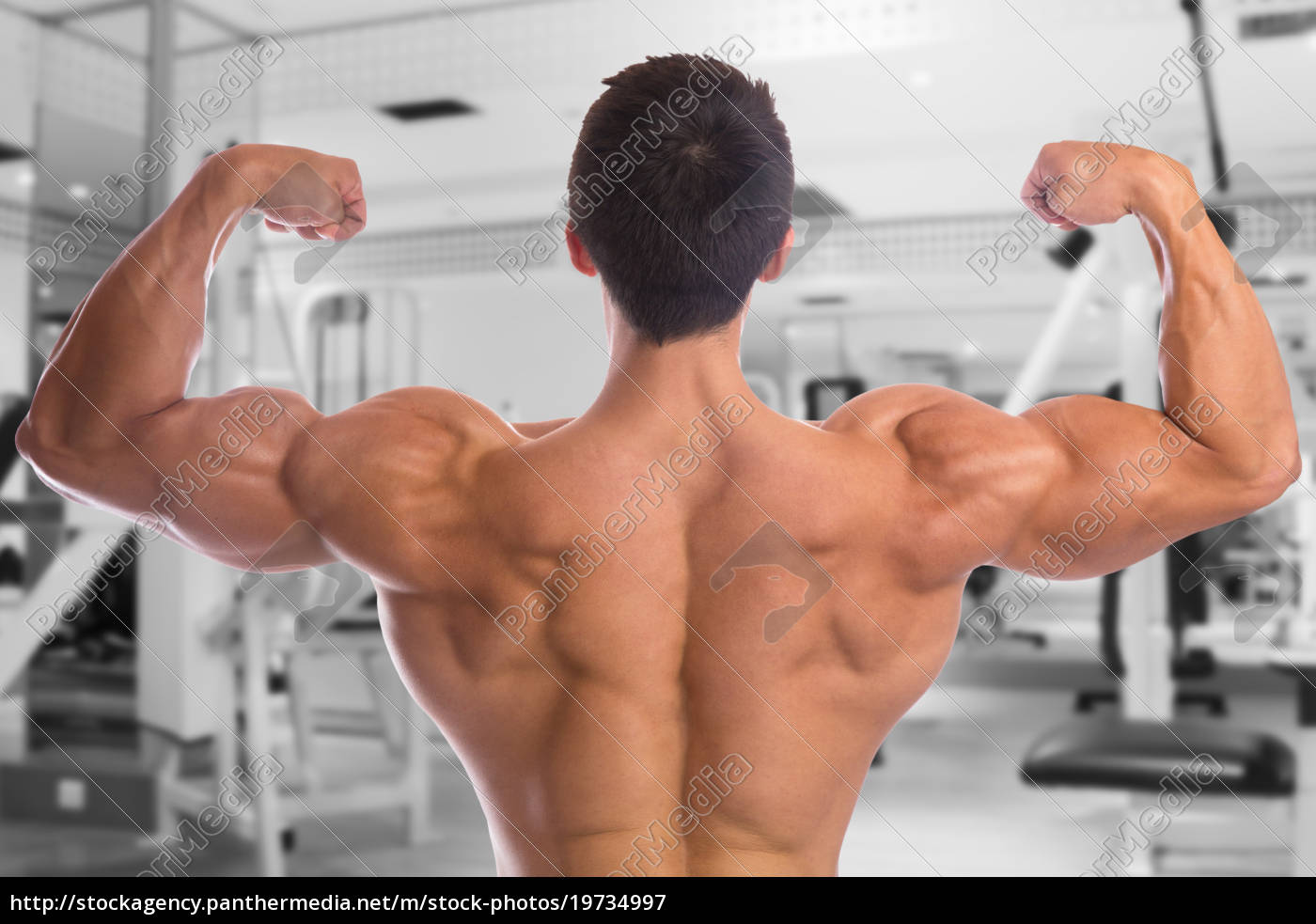 Bodybuilders Bodybuilding Muscles Gym Back Pose Biceps - Stock Photo  #19734997