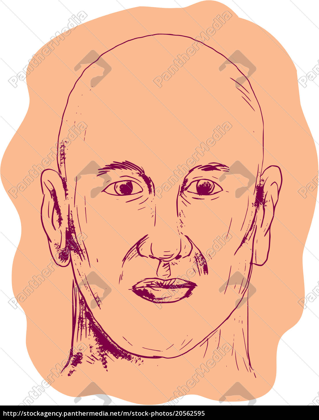 Stock Photo 20562595 Bald Caucasian Male Head Drawing