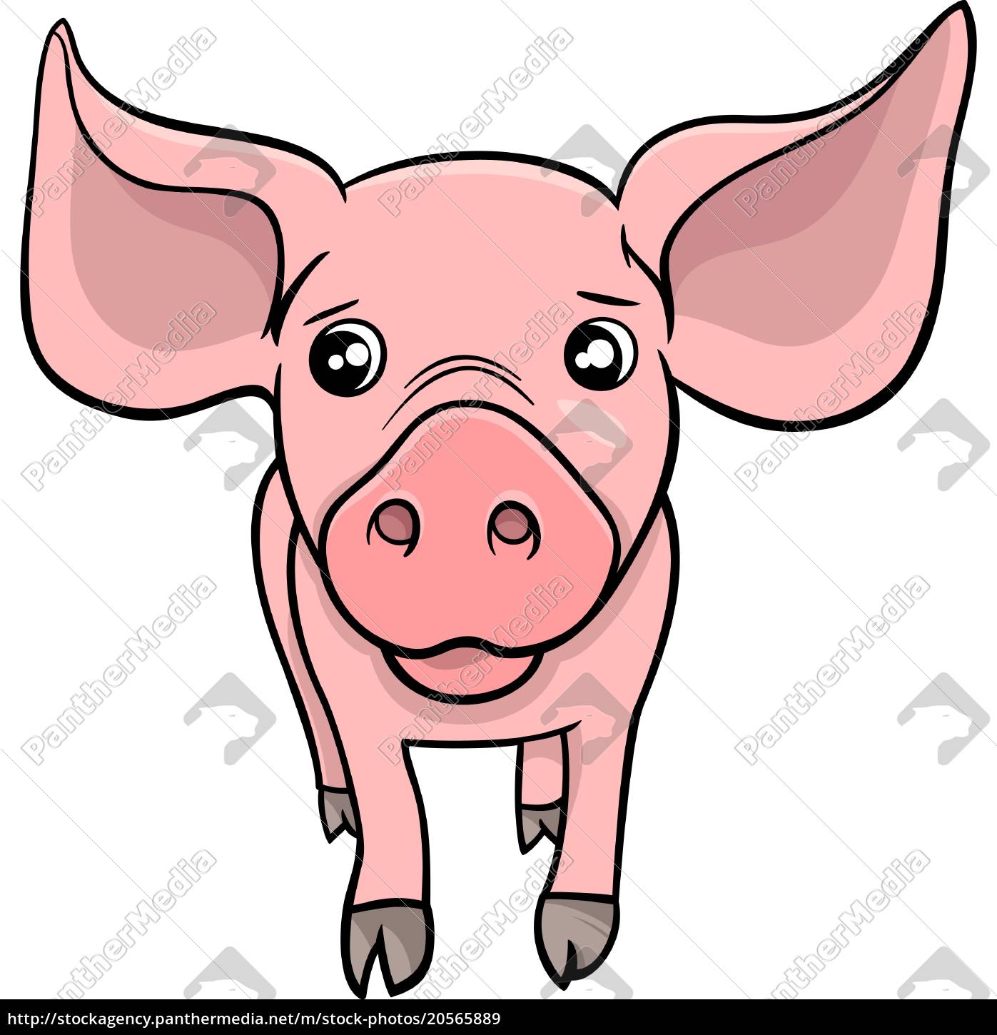 Pig Or Piglet Cartoon Character Stock Photo 20565889 Panthermedia Stock Agency Various formats from 240p to 720p hd (or even 1080p). https stockagency panthermedia net m stock photos 20565889 pig or piglet cartoon character