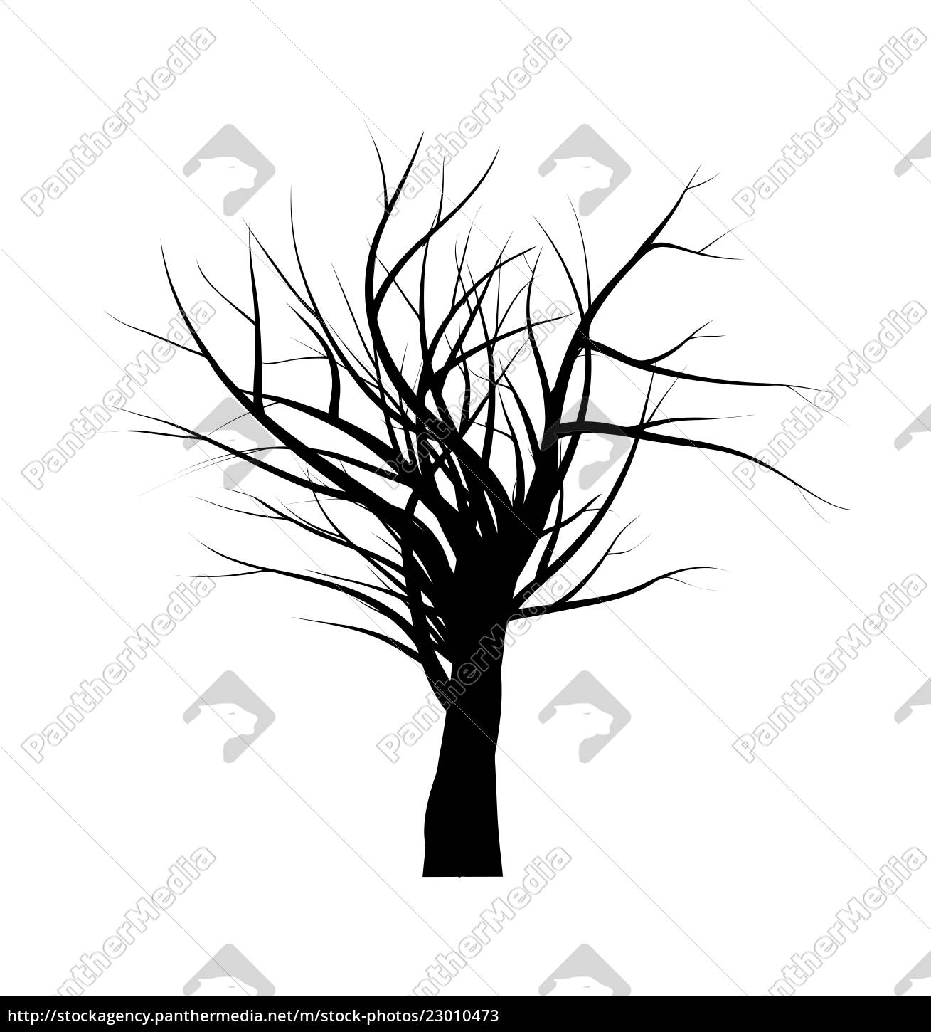 Bare Tree Branch Silhouette Vector Symbol Icon Stock Photo Panthermedia Stock Agency