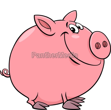 funny pig character cartoon illustration - Royalty free image #24252702 |  PantherMedia Stock Agency