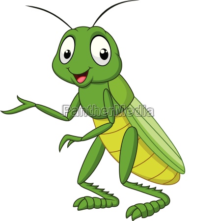 cartoon grasshopper isolated on white background - Royalty free photo  #24869760 | PantherMedia Stock Agency