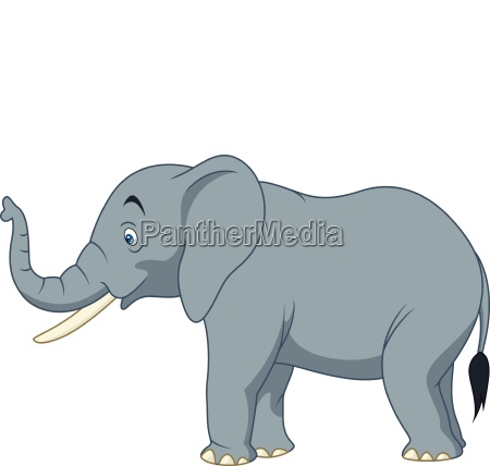 Cartoon elephant isolated on white background - Royalty free photo  #24871280 | PantherMedia Stock Agency