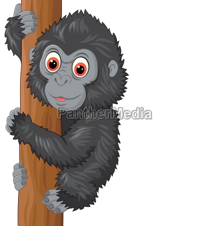 Cute baby gorilla climbing tree - Royalty free photo #24924052 |  PantherMedia Stock Agency