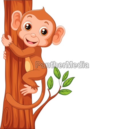 Cute monkey holding tree - Royalty free photo #25053504 | PantherMedia  Stock Agency