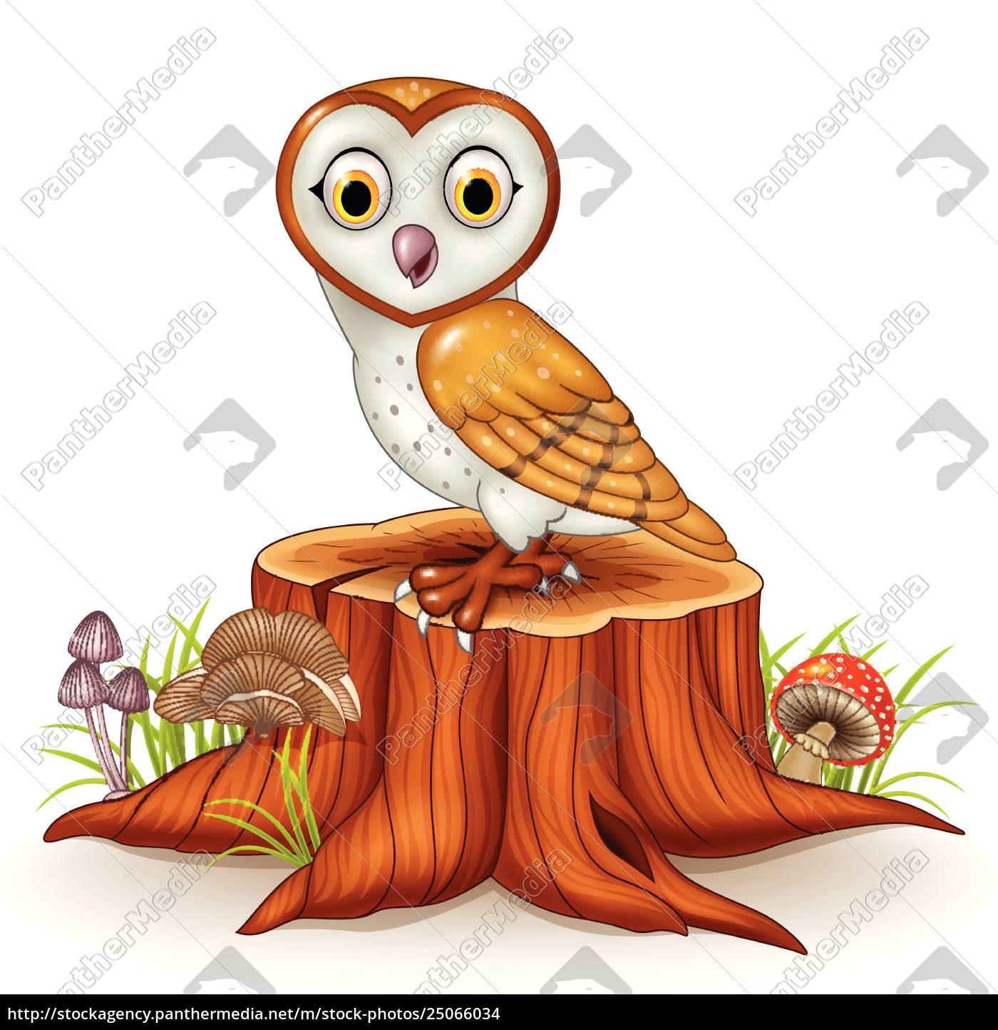 Cartoon Cute Owl Isolated On Tree Stump Stock Image 25066034