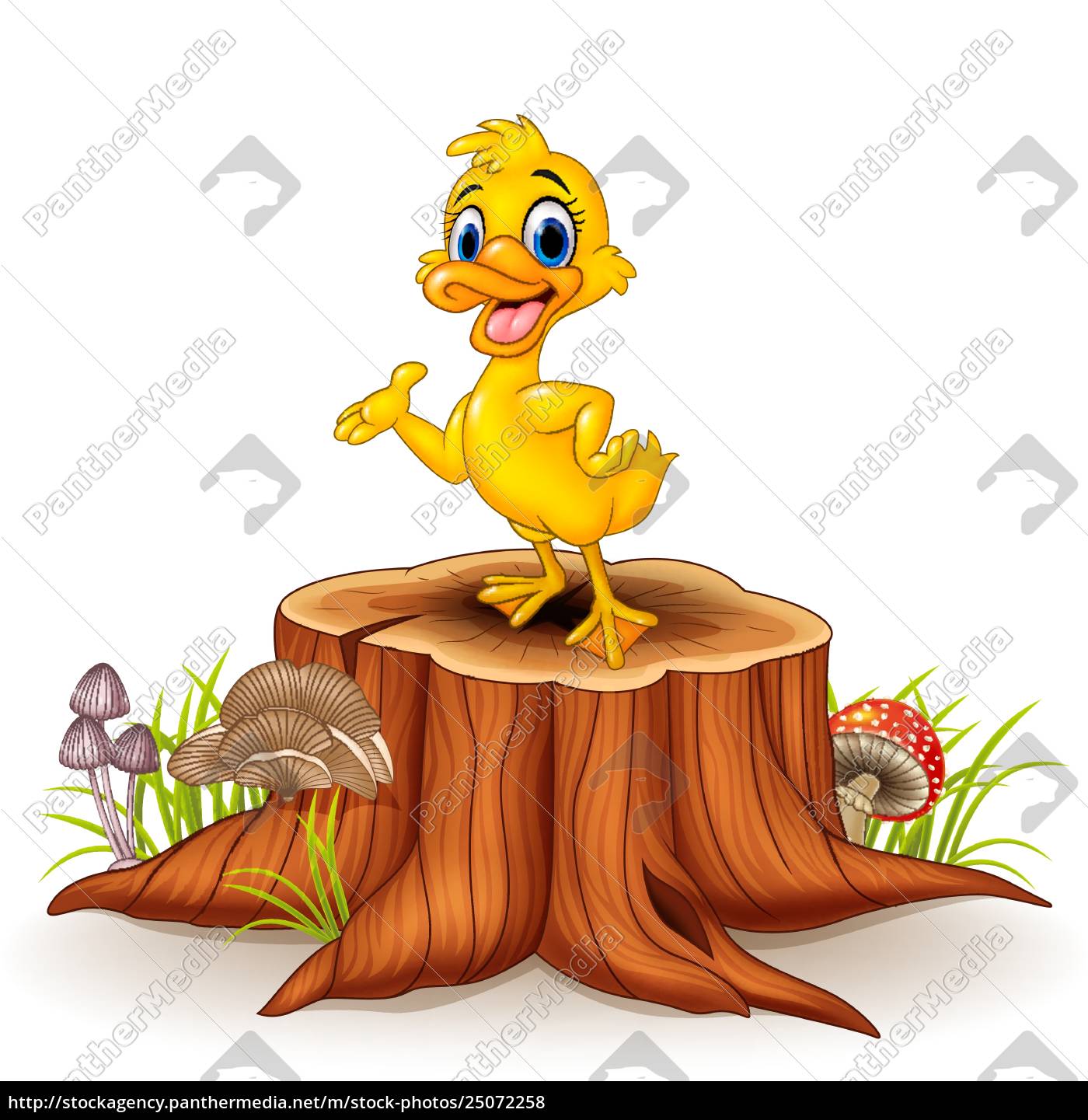 Cartoon Funny Duck Presenting On Tree Stump Stock Image 25072258 Panthermedia Stock Agency