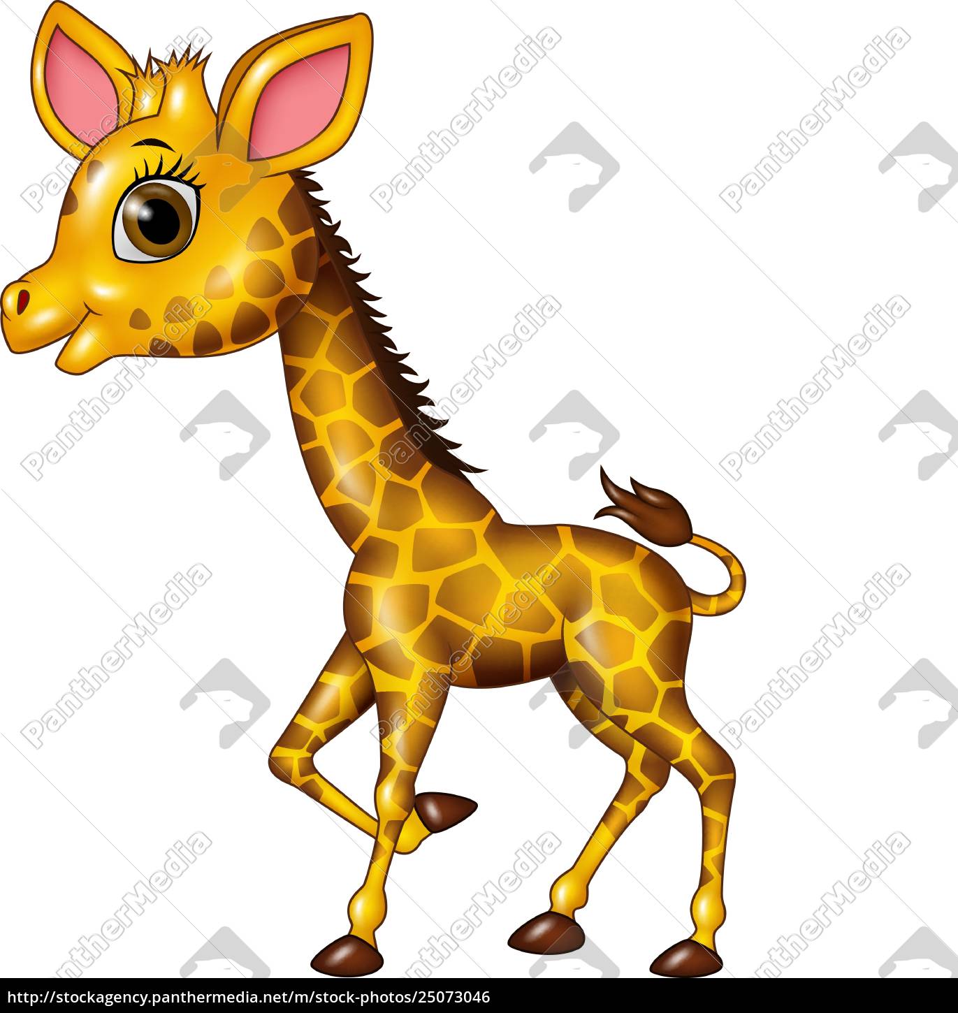 Cartoon Funny Baby Giraffe Isolated On White Background Royalty Free Image 25073046 Panthermedia Stock Agency