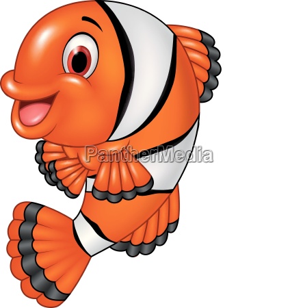 Cartoon funny clown fish posing isolated on white - Royalty free photo  #25074768 | PantherMedia Stock Agency