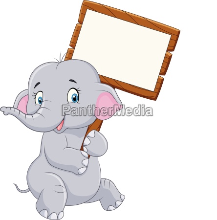 Cartoon funny elephant holding blank sign - Royalty free photo #25115868 |  PantherMedia Stock Agency