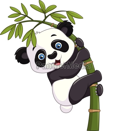 Cute Funny Baby Panda Hanging On The Bamboo Stock Image Panthermedia Stock Agency