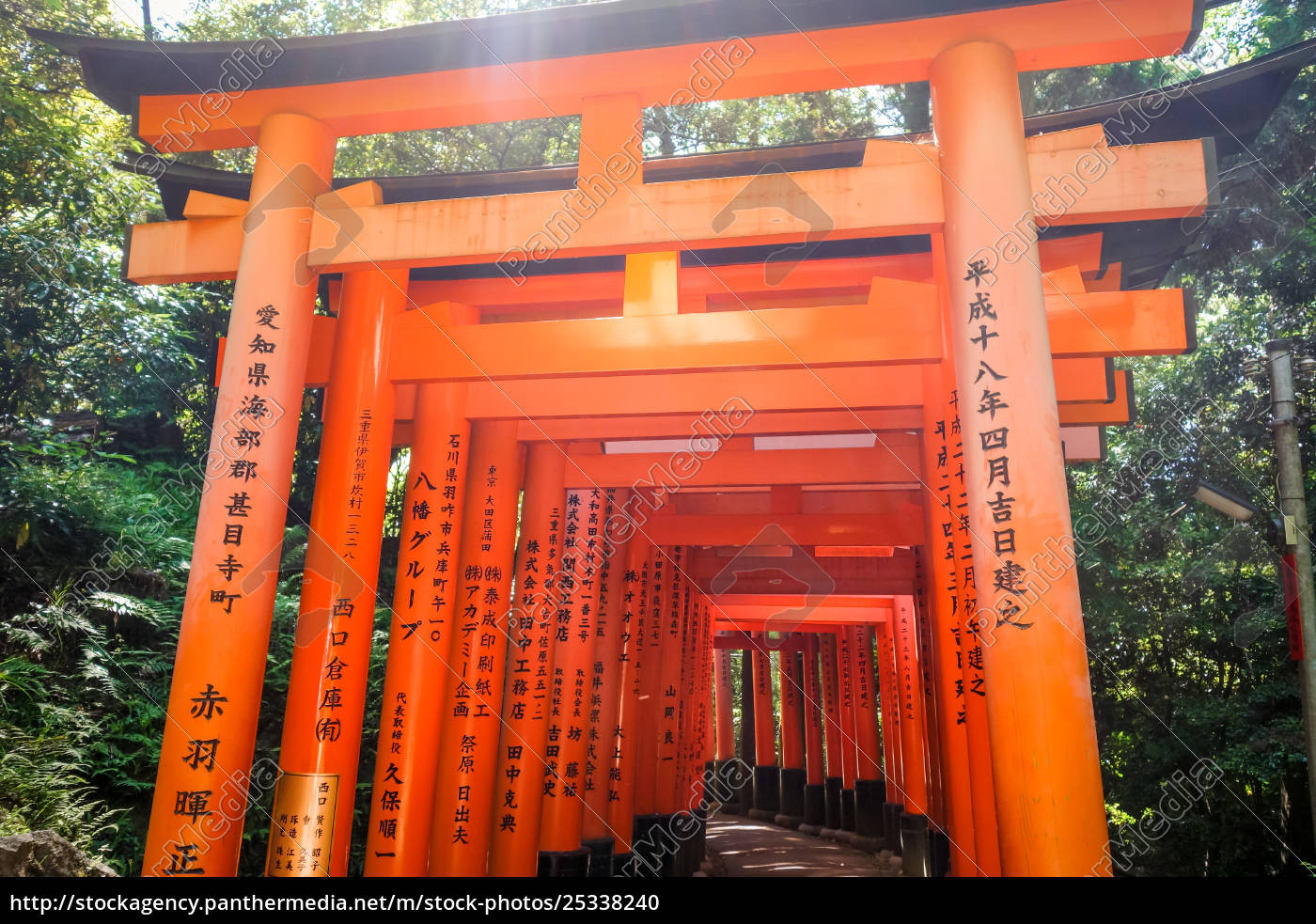 Fushimi Inari Taisha Torii Kyoto Japan Royalty Free Photo Panthermedia Stock Agency