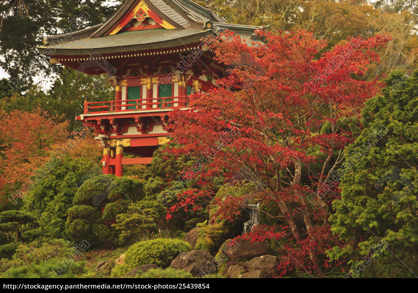 Japanese Tea Garden In Golden Gate Park San Francisco Rights