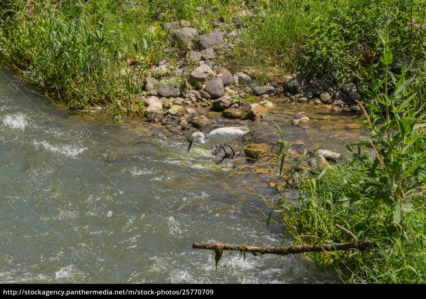 the hunting ground stream the hunting ground stream