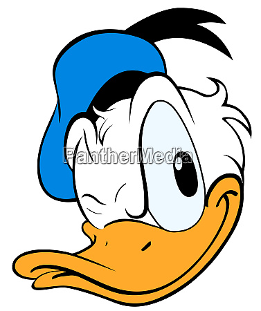 Donald duck illustration cartoon head donald looking - Rights-managed image  #26029152 | PantherMedia Stock Agency