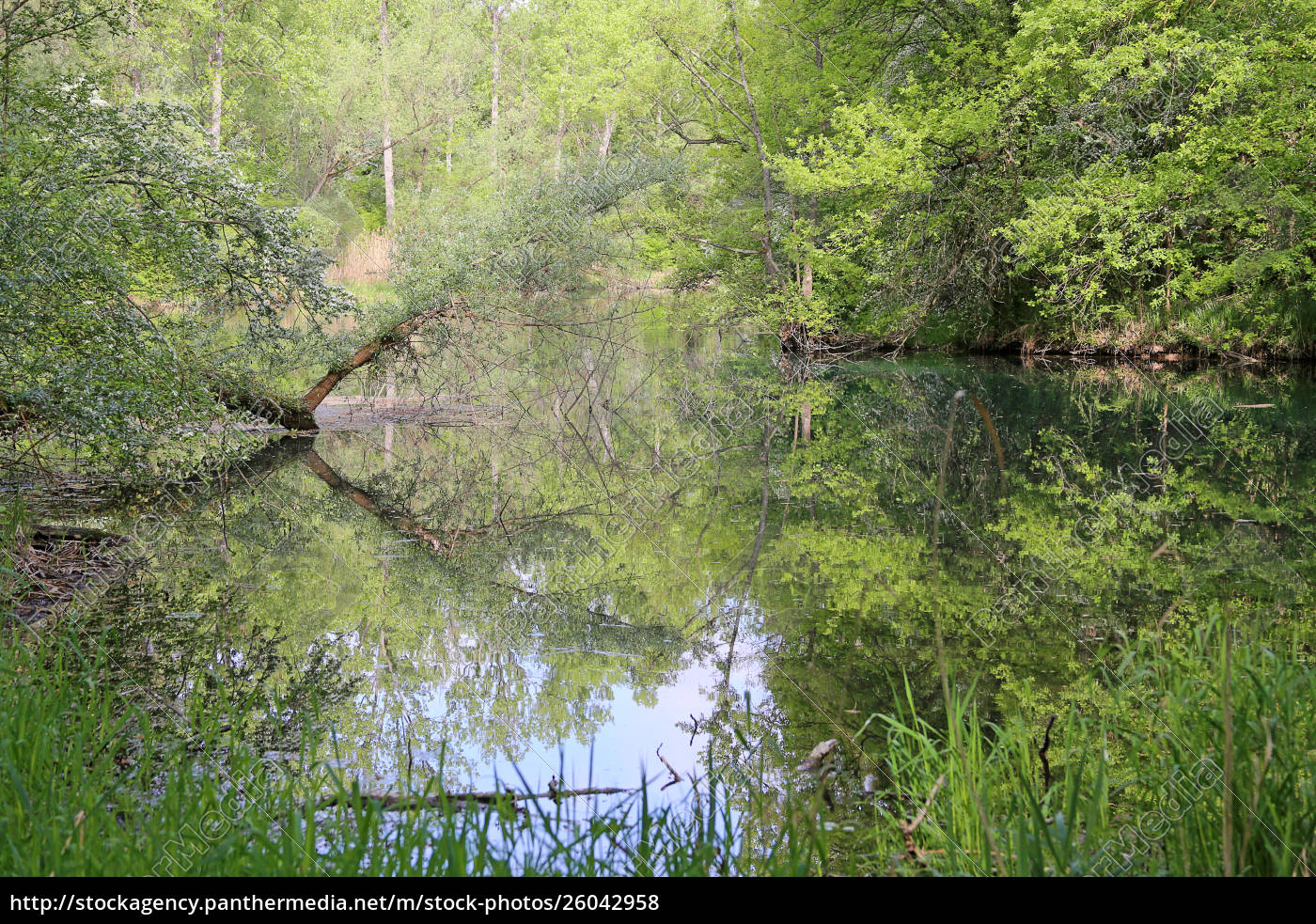 Rappennestiessen Nature Reserve Near Burkheim Vogtsburg Royalty Free Image Panthermedia Stock Agency