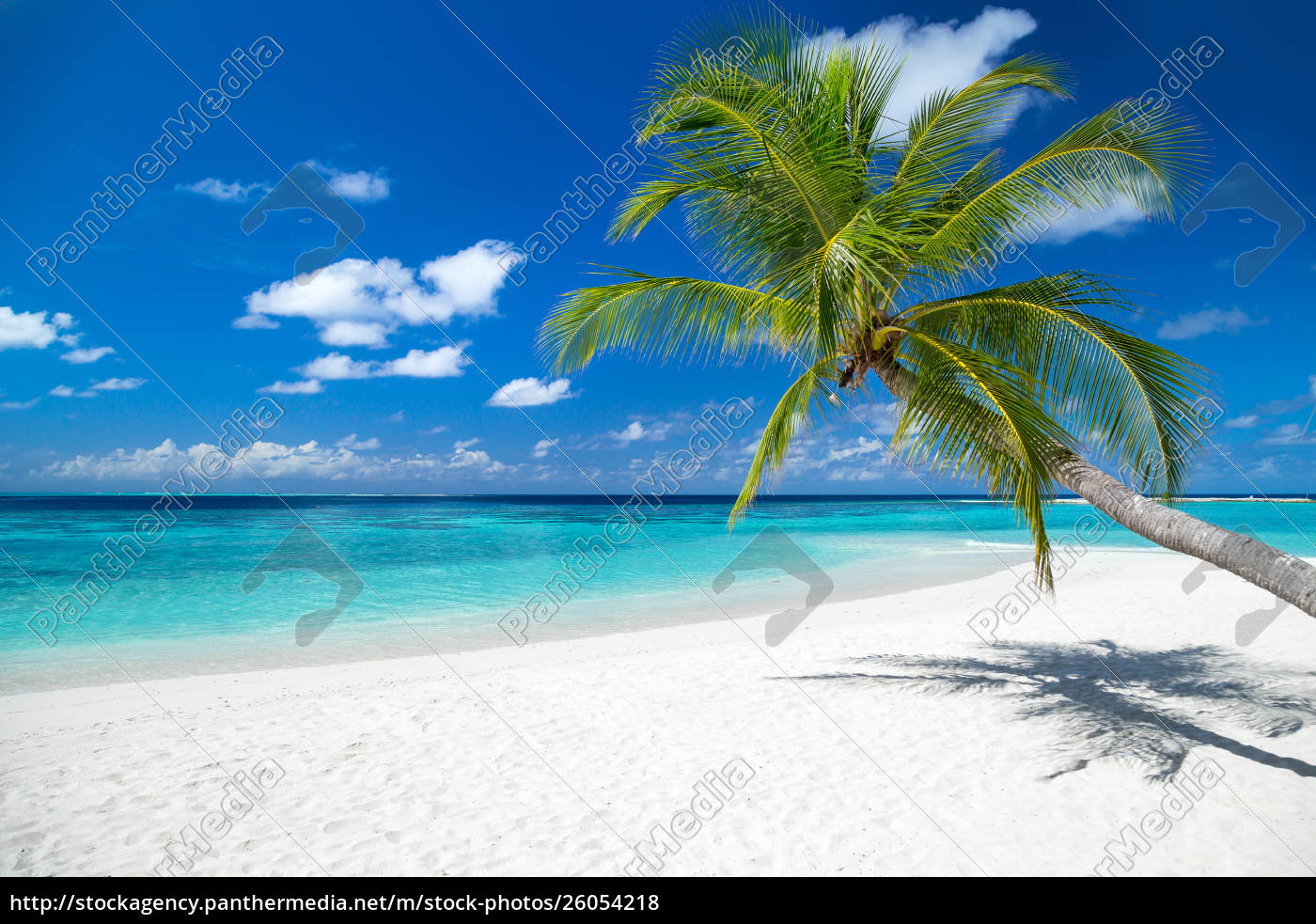 Tropical Paradise Beach Background Stock Image Panthermedia Stock Agency