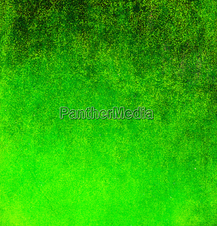 green background - Stock Photo #26128411 | PantherMedia Stock Agency