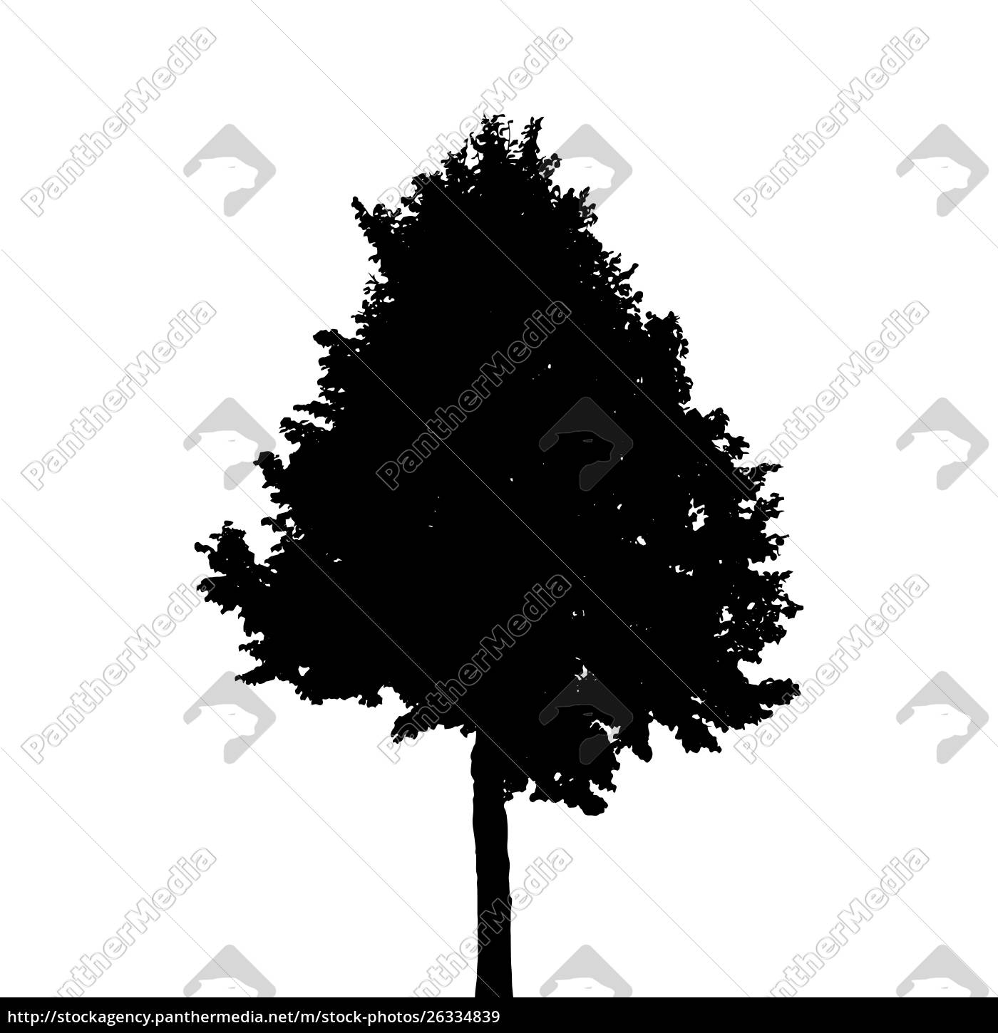 Tree Silhouette Isolated On White Background Vector Stock Photo Panthermedia Stock Agency