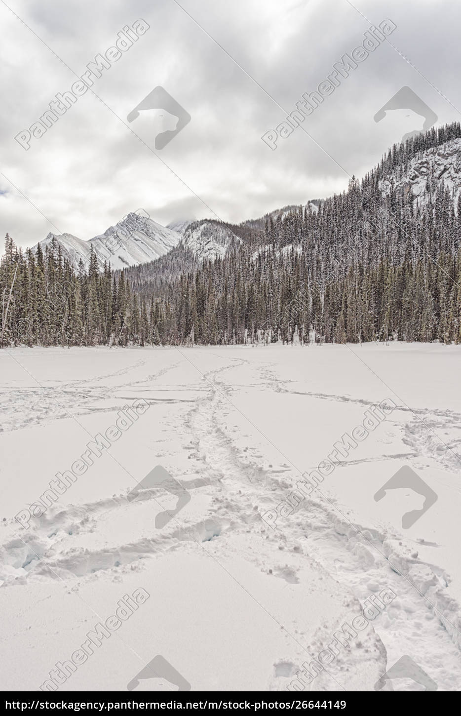 Tracks In The Snow Rocky Mountains Royalty Free Image Panthermedia Stock Agency