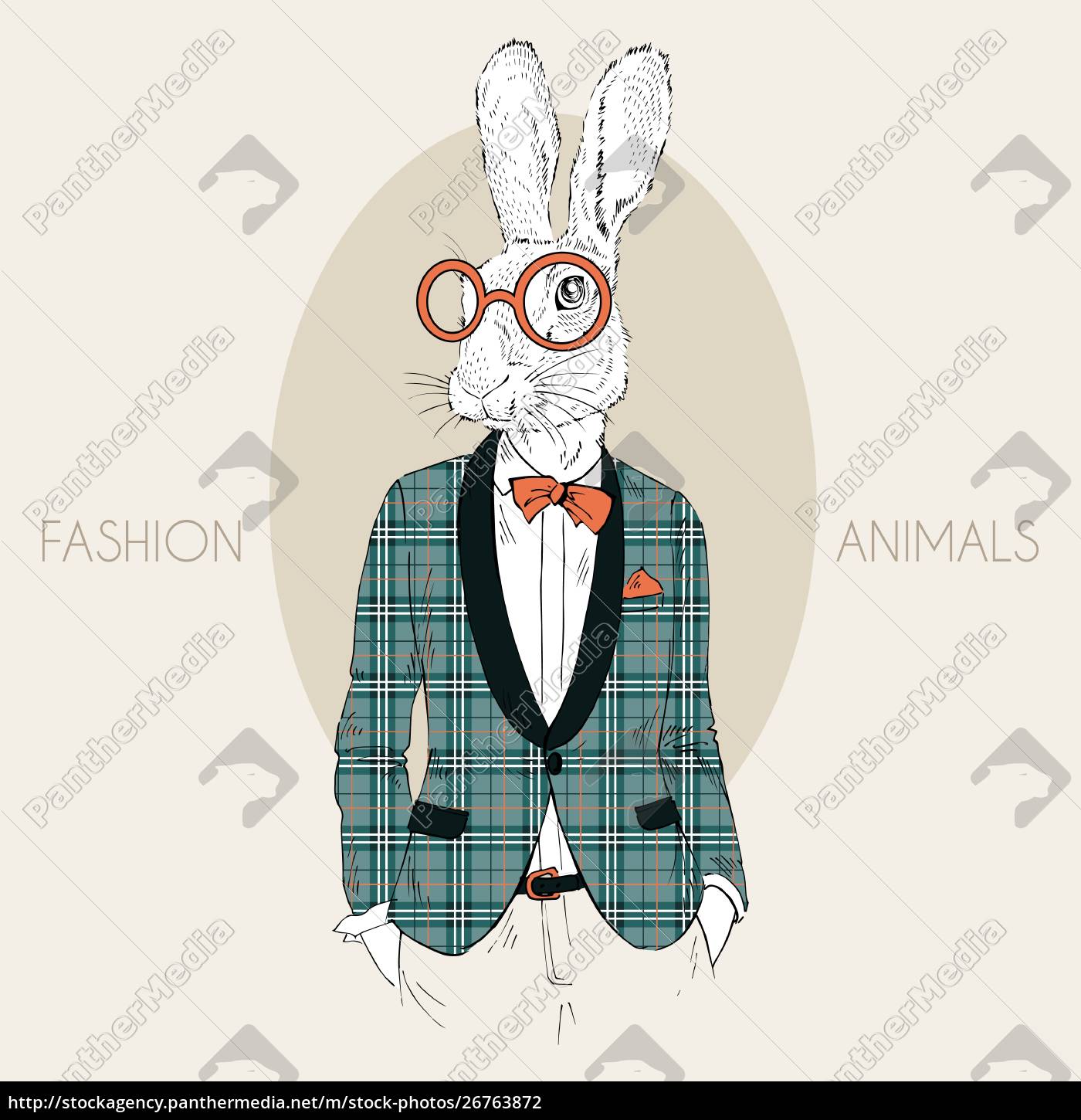 fashion animal illustration art design bunny - free photo - | PantherMedia Agency