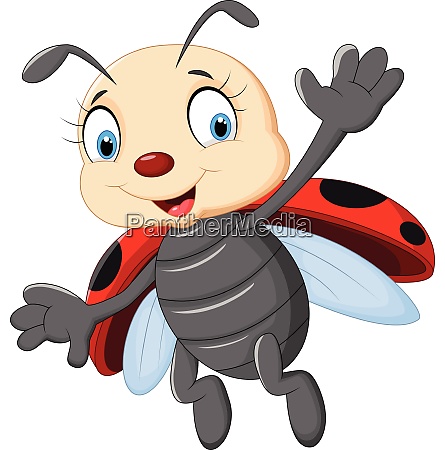 Cartoon ladybug flying isolated on white background - Stock Photo #27546617  | PantherMedia Stock Agency