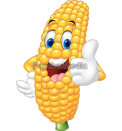 Cartoon happy corn giving thumb up - Stock Photo #27624371 | PantherMedia  Stock Agency