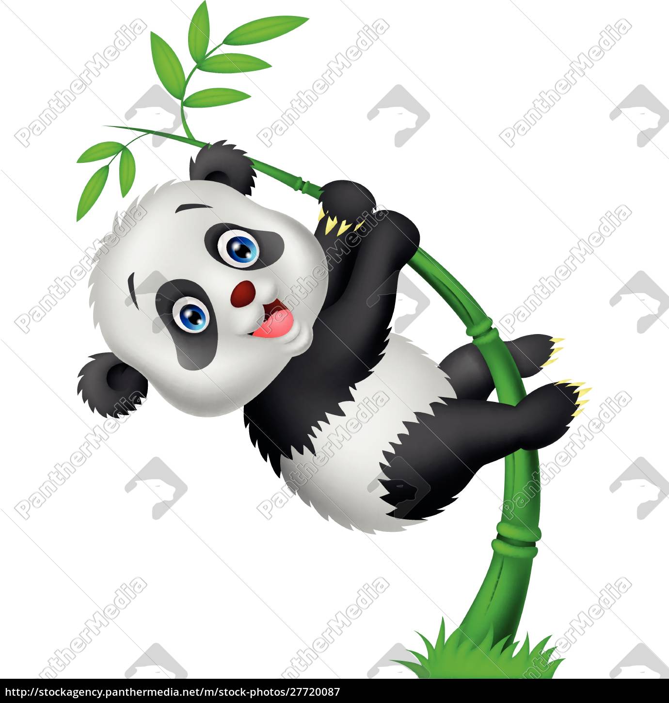 Cute Funny Baby Panda Hanging On The Bamboo Royalty Free Image Panthermedia Stock Agency