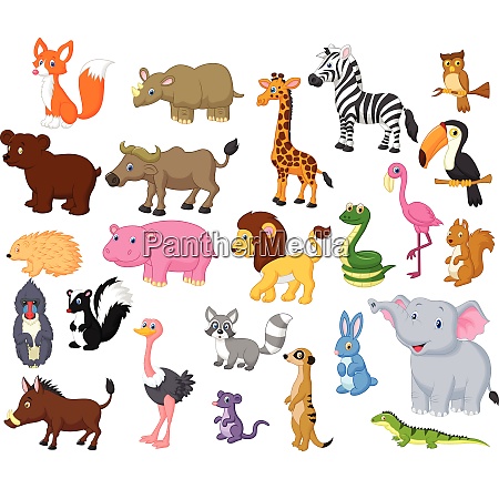 Wild animal cartoon collection set - Royalty free photo #27721240 |  PantherMedia Stock Agency