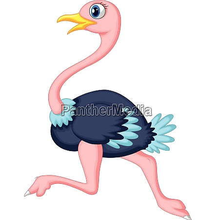 Cute ostrich cartoon running - Royalty free image #27945945 | PantherMedia Stock Agency Cute ostrich cartoon running - Royalty free image #27945945 | PantherMedia Stock Agency