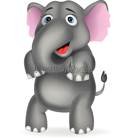 Funny elephant cartoon - Stock Photo #28007341 | PantherMedia Stock Agency