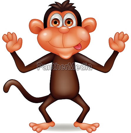 Funny monkey - Stock image #28007110 | PantherMedia Stock Agency