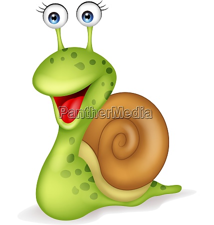 Snail cartoon - Stock Photo #28007695 | PantherMedia Stock Agency