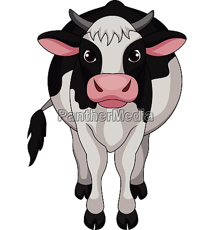 Cute cow cartoon - Royalty free image #28008291 | PantherMedia Stock Agency