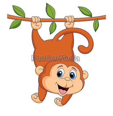 Cute monkey cartoon hanging on a tree branch - Royalty free photo #28011528  | PantherMedia Stock Agency