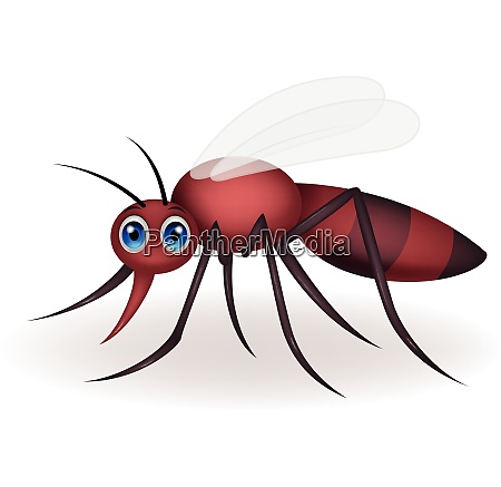 Mosquito cartoon - Royalty free photo #28011760 | PantherMedia Stock Agency