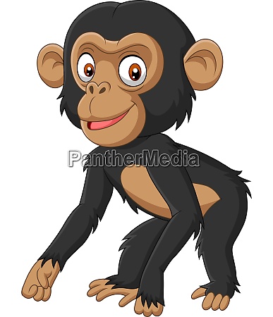 Cute baby chimpanzee cartoon on white background - Royalty free photo  #28089844 | PantherMedia Stock Agency