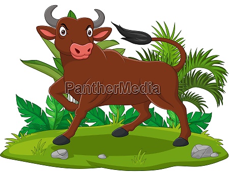 Cartoon angry bull in the grass - Royalty free image #28138605 |  PantherMedia Stock Agency