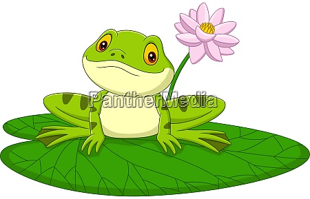 Cartoon green frog sitting on a leaf - Stock image #28171334 | PantherMedia  Stock Agency